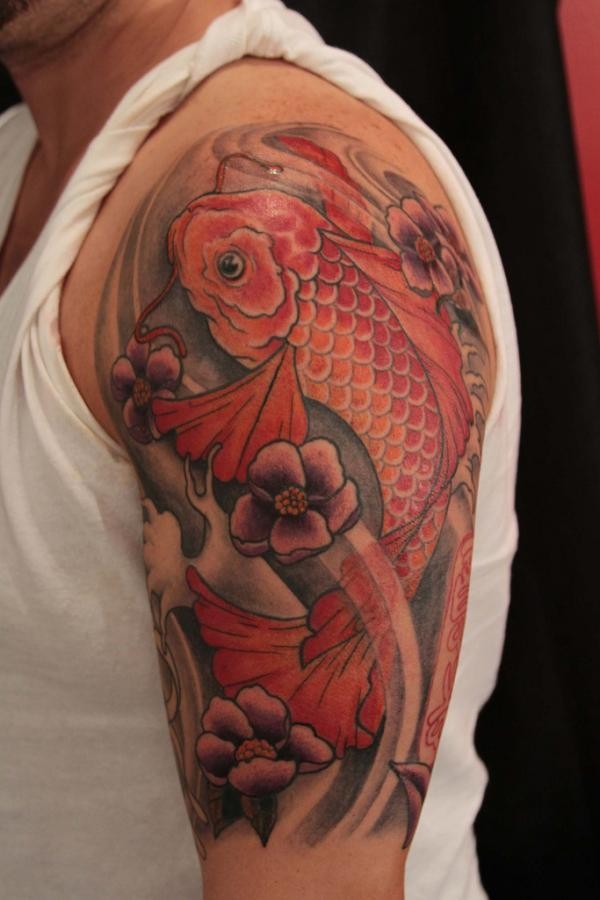 Große KoiFisch Bilder
